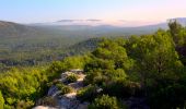 Trail Walking Le Castellet - Trace_Ste_Anne - Photo 13