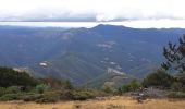 Tocht Stappen Val-d'Aigoual - cascades orgon - Photo 1