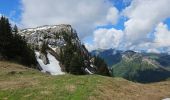 Trail Walking Le Grand-Bornand - Aiguille verte, Col et lac de Lessy - Photo 3