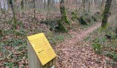 Trail Walking Mandrevillars - Echenans et son fort - Photo 7