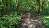 Randonnée Randonnée équestre Walcourt - Mertenne-bois de Pry - Photo 3