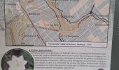 Tour Wandern Baelen - Croi Noir 20 km - Photo 8