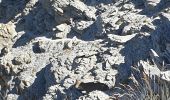 Trail Walking Enchastrayes - Chapeau de gendarme avec T S - Photo 1