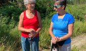 Tour Wandern Tenneville - Journal - Photo 9