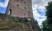 Excursión Senderismo Wangenbourg-Engenthal - Circuit randonnée Autour des 2 Châteaux 5,5km - Photo 2
