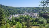 Tocht Stappen Bouillon - rando botassart 24-05-2023 - Photo 5