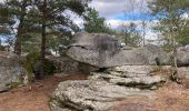 Randonnée Marche Fontainebleau - Fait TB boucle depuis maison ONF FBleau vers carrefour de Franchard et retour - Photo 6