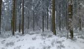 Trail Walking Spa - entre fagne et bois - version courte - Photo 3