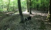 Trail Walking Froidchapelle - Martinsart - Photo 1