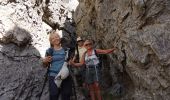 Trail Walking La Roquebrussanne - Massif de la Loube - Photo 8