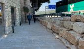 Tour Zu Fuß Regionalverwaltung Mateh Jehuda - דרך דיפנבייקר - Photo 3