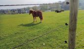 Tocht Stappen Linkebeek - Promenade 3: Par champs et prés - Photo 1