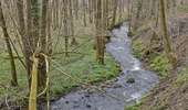 Tour Wandern Kelmis - 20250327 - Kelmis 6.7 Km - Photo 11