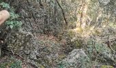 Trail Walking Brignoles - l'Amarron - Photo 5