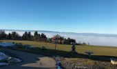 Tocht Stappen Saint-Paul-en-Chablais - La Chapelle d'Abondance - Photo 12