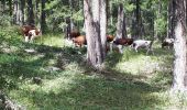 Tocht Stappen Embrun - La cabane de Séyères - Photo 3