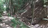 Excursión Senderismo Lieja - angleur . bois st Jacques . sart tilman . bois st laurent . angleur  - Photo 6