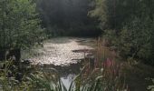 Excursión Senderismo Thuin - Balade de Thuin à l'abbaye d'Aulne et retour à Thuin  - Photo 8