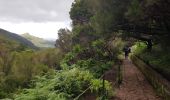 Trail Walking Arco da Calheta - Levada do 25 fontes - Photo 7