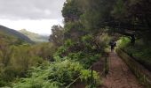 Tour Wandern Arco da Calheta - Levada do 25 fontes - Photo 7