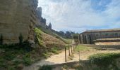 Tocht Stappen Carcassonne - Carcassonne Cité  - Photo 14