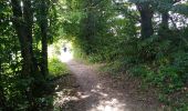 Trail Walking Sentheim - Marché au marcher 3  - Photo 8