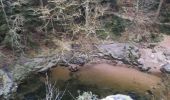 Trail Walking Thiéfosse - gorges de Crosery  - Photo 2