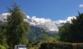 Randonnée Marche Chamonix-Mont-Blanc - la cascade du Dard à gare de Chamonix  - Photo 20