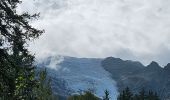 Randonnée Marche Chamonix-Mont-Blanc - J24 - R24 - Cascade du Dard - Lac des Gaillands 
 - Photo 3