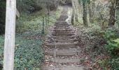 Trail On foot Mole Valley - The Box Hill Hike - Photo 2