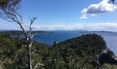 Trail Walking Hyères - Sentier du littoral de Giens - Photo 4