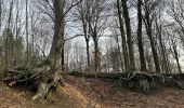 Trail Walking Genappe - #211004 - Sauvagemont, Bois de Thy et Ferme d'Agnissart**** - Photo 20
