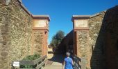 Tocht Stappen Banyuls-sur-Mer - Banyuls-sur-Mer (04/10/2018) - Photo 9