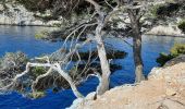 Tocht Stappen Cassis - cassis petite marche - Photo 2