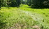 Trail Trail Sainte-Anne - Belle mare  - Photo 1