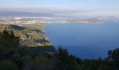 Tocht Trail La Seyne-sur-Mer - fabregas, notre dame de mai par la DFCI 909, puis plage de fabregas  - Photo 1