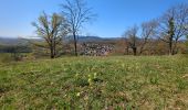 Trail Walking Rosheim - Rosheim Rosenwiller Boersch Bischenberg - Photo 17