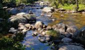 Excursión Senderismo Bolquère -  Bolquère .Petit Canada Pla de Barrès - Photo 8