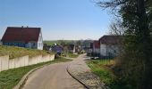 Percorso Marcia Soultz-sous-Forêts - Le sentier des cimes depuis Soultz - Photo 10