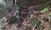 Percorso Marcia Bouillon - Laddertjeswandeling-Poupehan-Cretes de Frahan - Photo 2