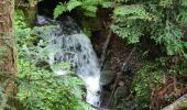 Trail Walking Oberhaslach - Circuit des 2 cascades - Photo 16