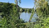 Randonnée Marche Soignies - Casteau- ADEPS - Photo 2