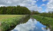 Excursión Senderismo Zoutleeuw - S-GR Hageland : Terhagen - Diest - Photo 8