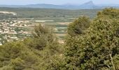 Excursión Senderismo Nages-et-Solorgues - Nages les capitelle - Photo 15