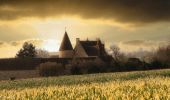 Tour Wandern Perche en Nocé - La fontaine Froide 10 km - Photo 4