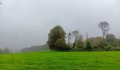 Randonnée Marche Esneux - rond chêne. limon . hestreux . rond chêne  - Photo 12