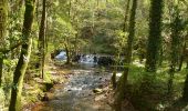 Tocht Te voet Ribeira de Fráguas - Trilho dos Três Rios - Photo 4