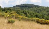 Trail On foot Greve in Chianti - IT-32 - Photo 4