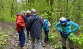 Tocht Stappen Rochefort - Belvaux, la Lesse 9 - Photo 6