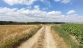 Trail Walking Banteux - canal de saint Quentin / Banteux - Vendhuile ( tunnel de Riqueval ). - Photo 17